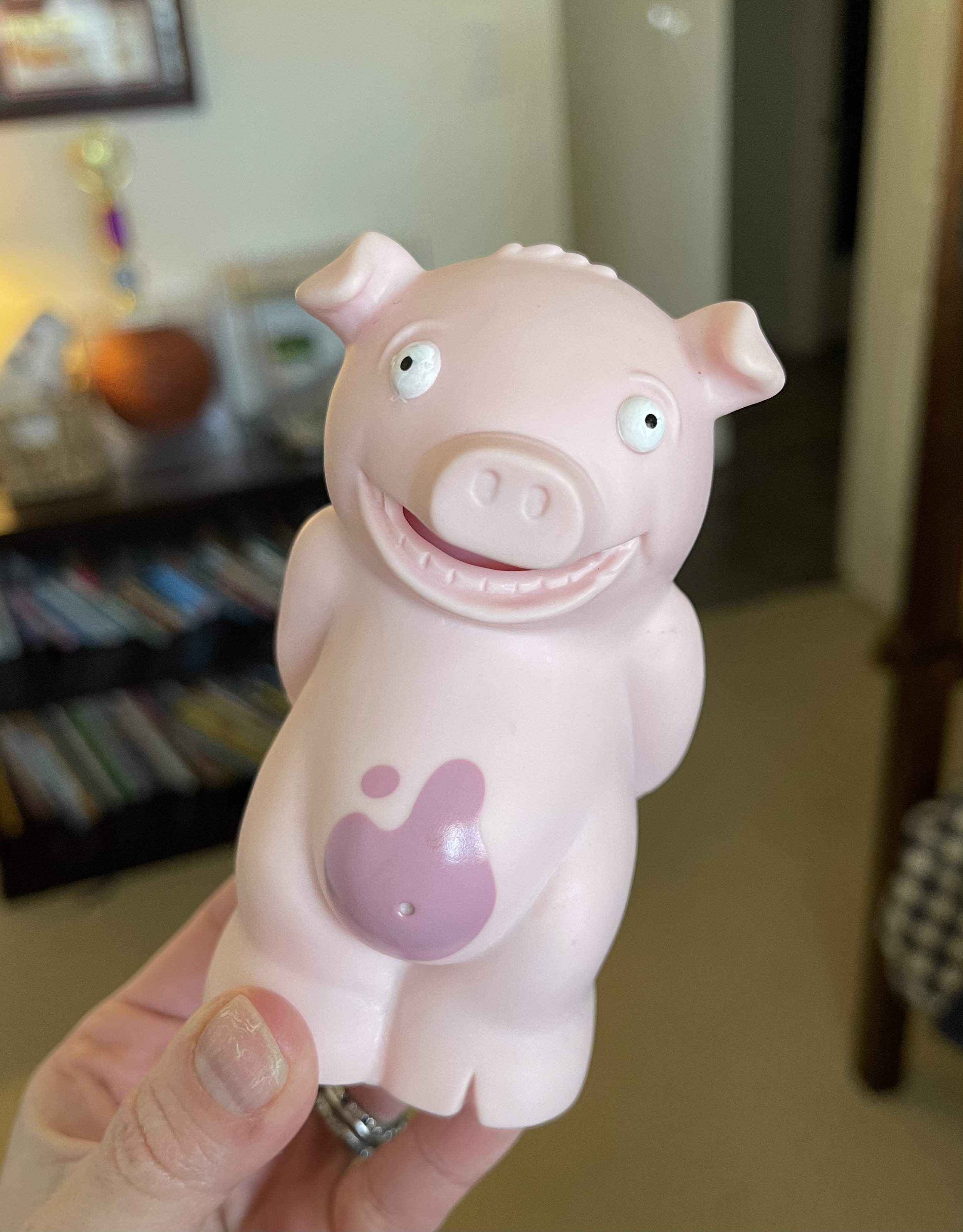 Stinky pig toy sale